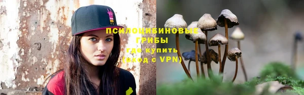МДПВ Волгодонск