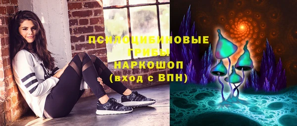 гидра Красноперекопск