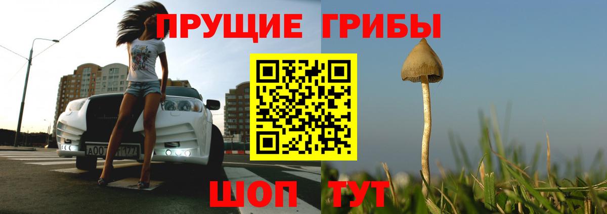 Псилоцибиновые грибы Magic Shrooms Муравленко